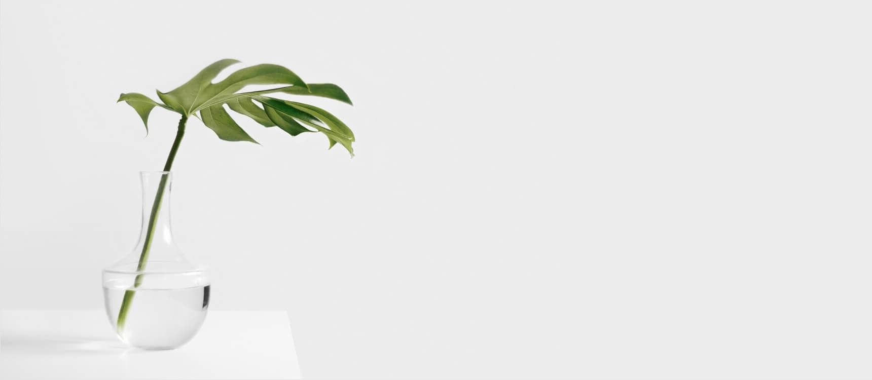 اسپی- ESPI- اشراق دیباج- بازرگانی اشراق- Eshraq Dibaj- Eshraq Trade- لمس سپیدی در اوج پاکیزگی- پاکیزگی- بهداشت- محصولات و تجهیزات پزشکی یکبار مصرف و منسوجات نبافته- پنبه هیدروفیل جاذب- hidrophilic cotton